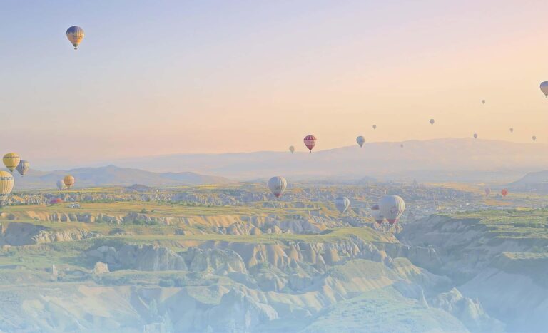 Zefort blog